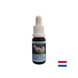 Donne une force intérieure dans des situations instables - Essence d'escargot de mer n ° 8, tombe 15 ml