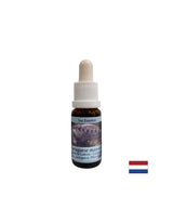 Détoxification - Essence Physalia (galère portugaise) n ° 4, tombe 15 ml