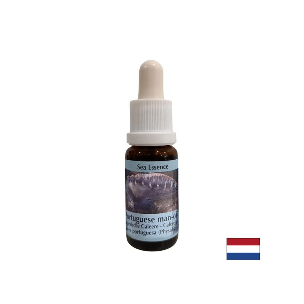Détoxification - Essence Physalia (galère portugaise) n ° 4, tombe 15 ml