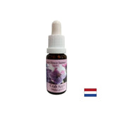 Détoxification - Wild Apple Essence n ° 10, tombe 15 ml