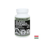 Voies respiratoires et immunité - lichen islandais, 60 capsules