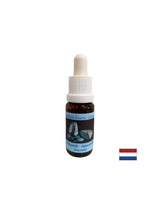 Équilibre émotionnel - Amazonite Essence n ° 1, tombe 15 ml
