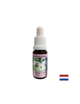 Promote la communication - Swamp Iris Essence, Drops 15 ml