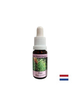 Lorsque vous vous sentez coupable - Essence Boron No. 24, laisse tomber 15 ml