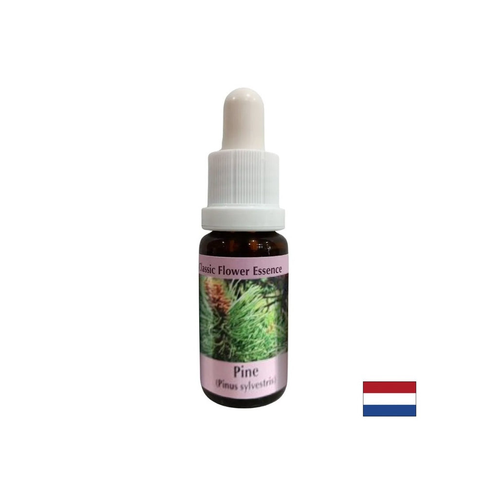 Lorsque vous vous sentez coupable - Essence Boron No. 24, laisse tomber 15 ml