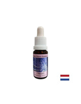 Pour se concentrer sur vous-même - Chicoory Essence No. 8, laisse tomber 15 ml