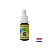 Essence Energy Stability No. 11, baisse 15 ml
