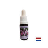 Comprend le cycle de l'abondance et le désir de donner - Cattleya Essence n ° 10, tombe 15 ml