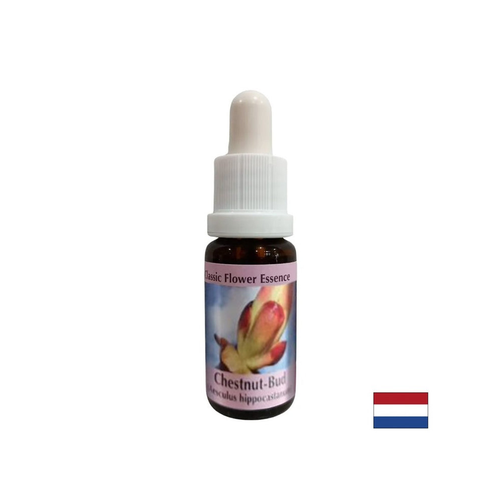 Supprime les blocages d'énergie - Essence de châtaignier n ° 7, laisse tomber 15 ml