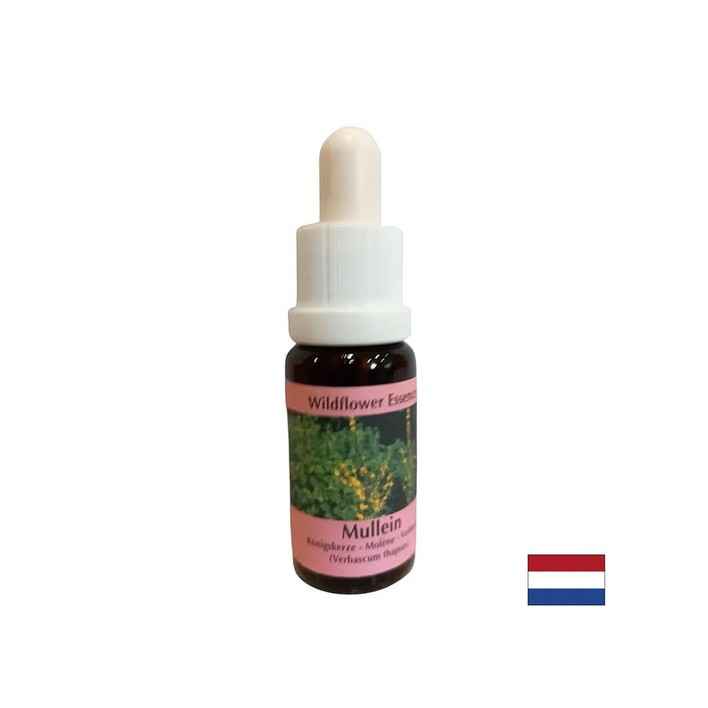Soutient le travail d'équipe et la créativité - Lopen Essence n ° 29, laisse tomber 15 ml