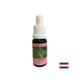 Soutient le travail d'équipe et la créativité - Lopen Essence n ° 29, laisse tomber 15 ml