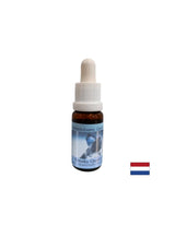 Pour l'équilibre émotionnel et la stabilité n ° 10 - Essence de quartz fumé, baisse 15 ml