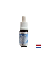 Soutient le traitement - Rehael Essence (Angel Essence No. 19), tombe 15 ml