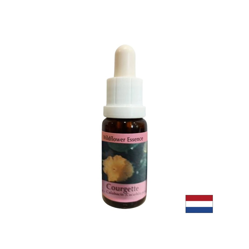 Soutient les menstruations, la grossesse et la sexualité - l'essence de citrouille n ° 29, tombe 15 ml