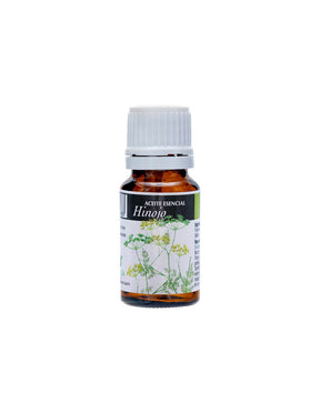 With anti-inflammatory and pain-relieving effect - Fennel essential oil - Aceite Esencial Hinojo, 10 ml - Nutra Best Europe