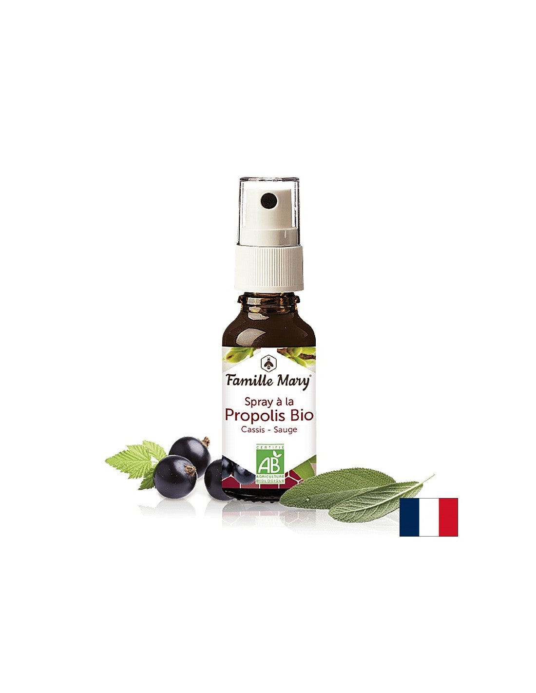 Pulvérisation à la propolis bio/gorge Spray avec propolis brun, sauge et cassin, 20 ml de Famille Mary