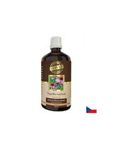 Immunité - Échinacée, 100 ml de teinture