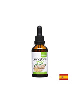 Jengibre Eco – Gingembre (teinture), 50 ml Arte<tc>san</tc>je