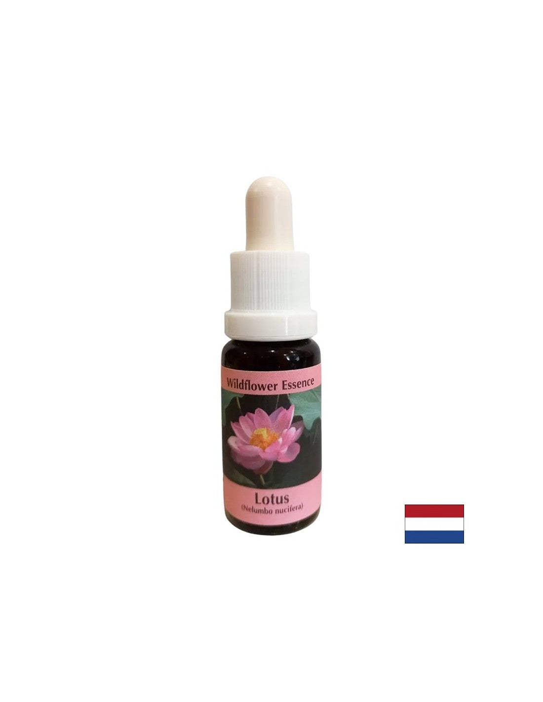 Harmonise les chakras et ouvre l'esprit - Essence Indian Lotus n ° 30, laisse tomber 15 ml