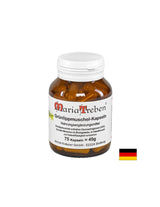 Os et articulations - palourde aux lèvres vertes, 500 mg x 75 capsules