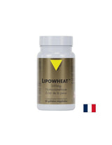 Belle peau - Phyto céramides Lipowheat ™, 350 mg x 30 capsules