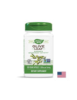 Feuille d'olive 500 mg - 100 capsules