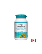 Méga probiotique 12 milliards de probiotiques actifs - poudre - 75 grammes