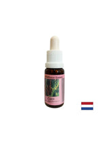 Promoue la relaxation et restaure l'équilibre - l'essence du maïs n ° 32, tombe 15 ml