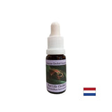 Conscience du présent à travers les leçons du passé - Past Life Orchid Essence No. 16, laisse tomber 15 ml