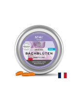 Pastilles Dr. Bach - N°41 Focus, 50 g (~ 40 pièces) <tc>Lemon Pharma</tc>