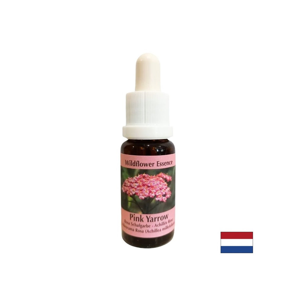 Protéger les émotions et la santé générale - Essence Pink Yarrow n ° 35, laisse tomber 15 ml