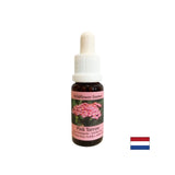 Protéger les émotions et la santé générale - Essence Pink Yarrow n ° 35, laisse tomber 15 ml