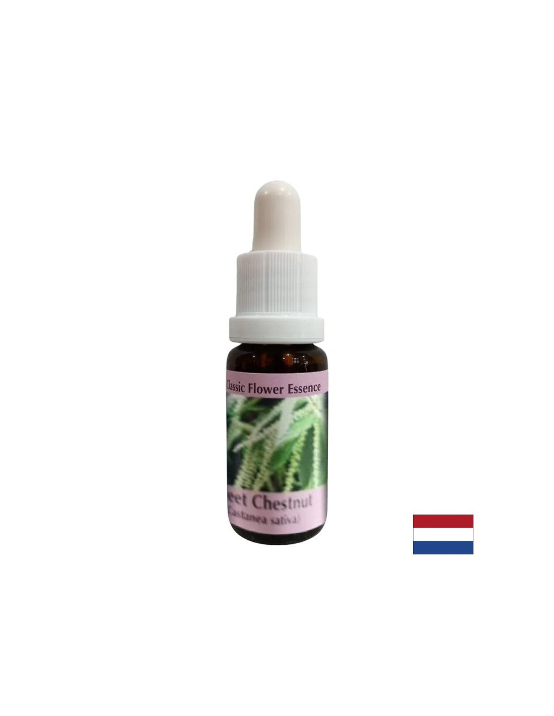 En temps de désespoir et d'impasse - Essence de châtaigne douce, tombe 15 ml