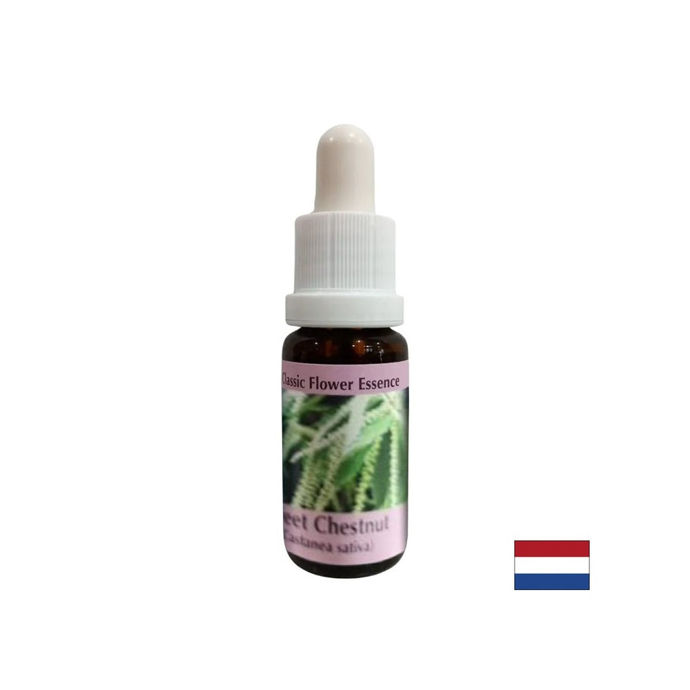 En temps de désespoir et d'impasse - Essence de châtaigne douce, tombe 15 ml