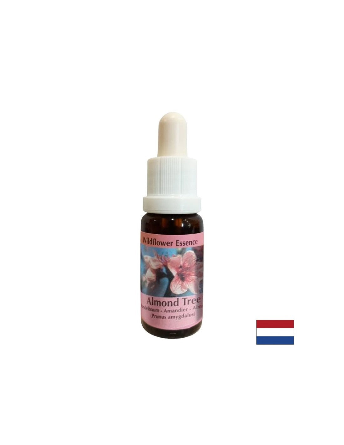 Rajeunit le corps et stimule une alimentation saine - l'essence des amandes n ° 31, laisse tomber 15 ml
