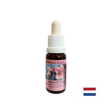 Rajeunit le corps et stimule une alimentation saine - l'essence des amandes n ° 31, laisse tomber 15 ml