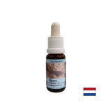 Soutient l'intuition et le partage des émotions - Essence Sea Dog No. 5, laisse tomber 15 ml