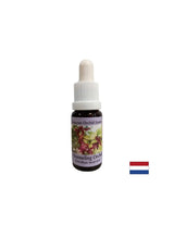Aide les médiums à transmettre des messages spirituels - canaliser l'essence d'orchidées n ° 5, 15 ml de gouttes
