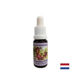 Aide les médiums à transmettre des messages spirituels - canaliser l'essence d'orchidées n ° 5, 15 ml de gouttes