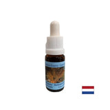 Prend en charge la transformation et l'équilibre positifs - Essence Rutilated Quartz n ° 13, baisse 15 ml