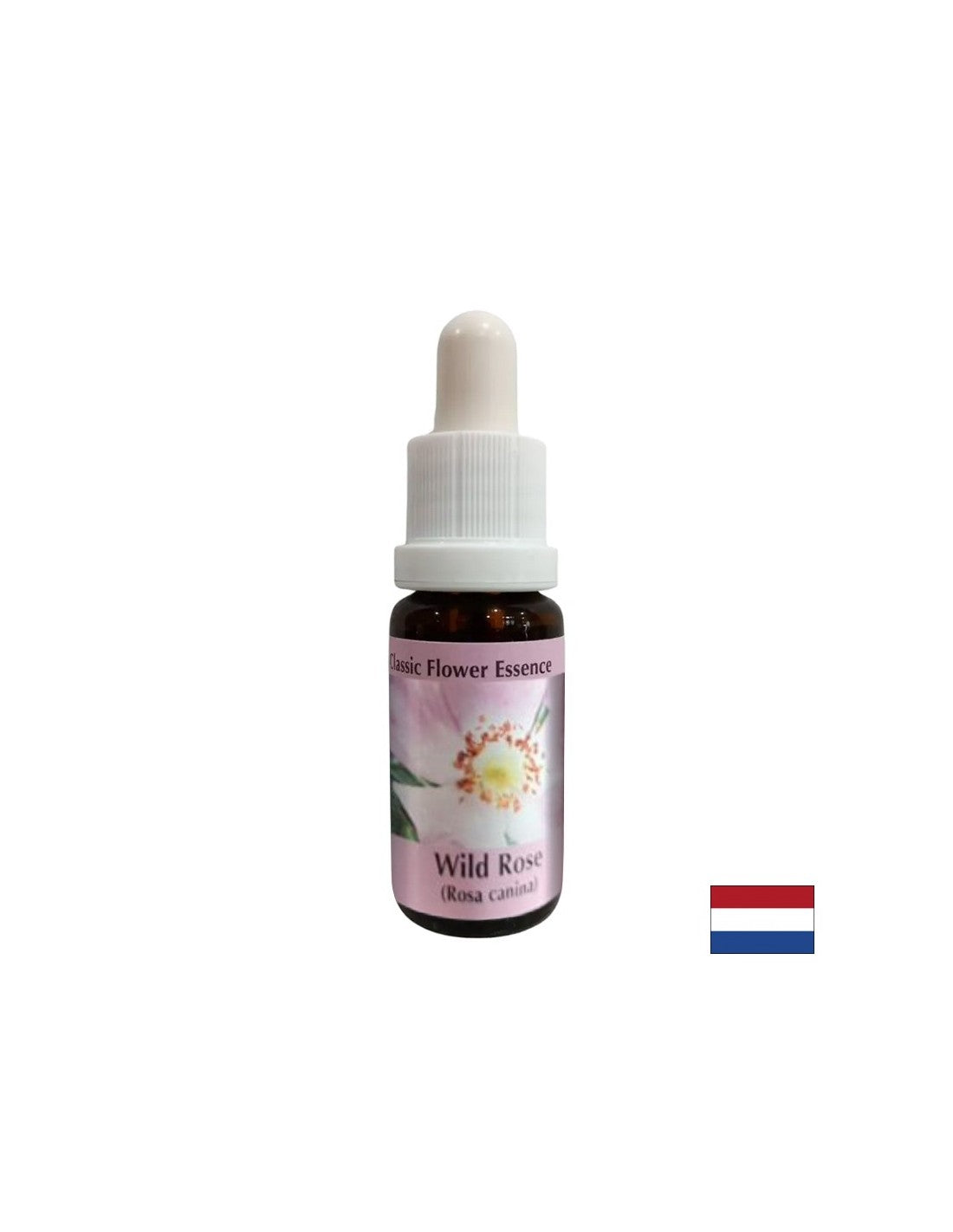 Augmente l'activité et la motivation - Rosehip Essence No. 37, baisse 15 ml