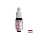 Augmente l'activité et la motivation - Rosehip Essence No. 37, baisse 15 ml