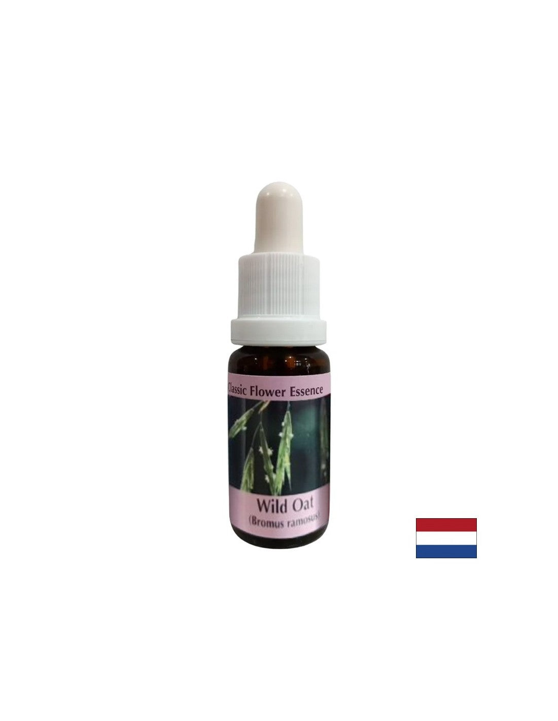 Augmente la confiance - l'essence avoine n ° 36, baisse 15 ml