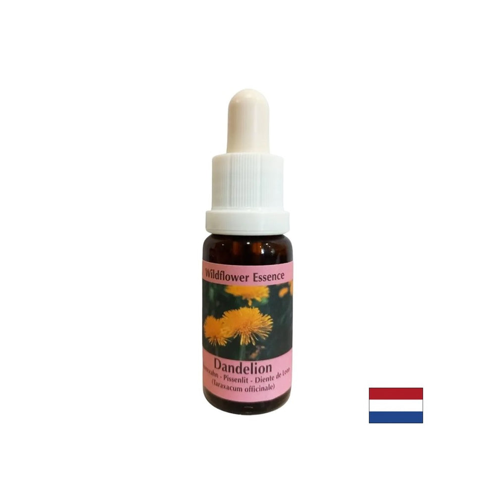 Supprime la tension des conflits - Essence de pissenlit n ° 11, baisse 15 ml