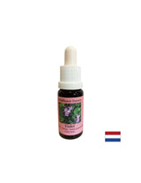 Surmonte l'inconfort du rejet et de la solitude - Essence Fiber Violet No. 18, Drops 15 ml