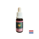 Pour les blessures et le choc - Arnica Essence n ° 22, laisse tomber 15 ml