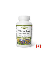 Racine de valériane 300 mg - 90 capsules