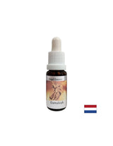 Pour les problèmes relationnels - Damabia Essence (Angel Essence No. 5), tombe 15 ml