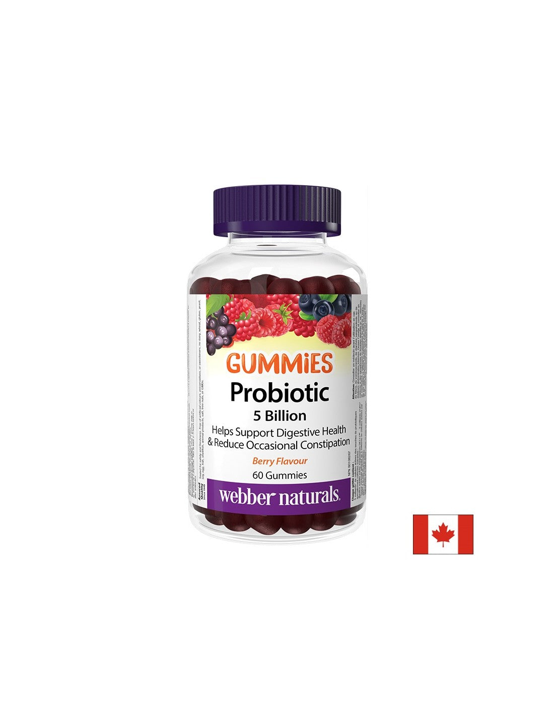 Gummies probiotiques 5 milliards de probiotiques actifs, 60 comprimés de gelée, avec une saveur de fruits de forêt