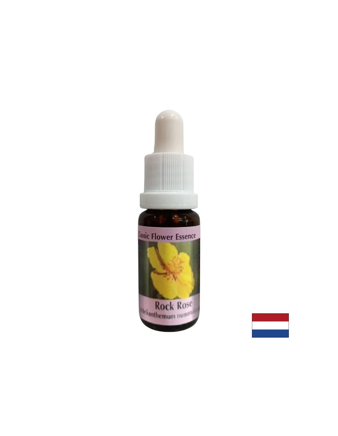 Clarifie l'esprit en cas de peur et de panique - Helianthemum Essence (jaune) n ° 26, laisse tomber 15 ml